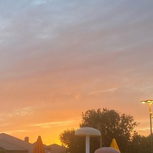 Meet your Posher, Bailey